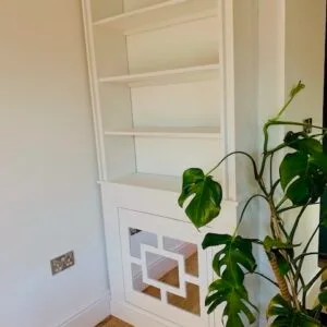 Luxury Bookcase Mirrored Radiator Cover