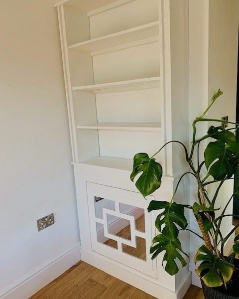 Luxury Bookcase Mirrored Radiator Cover