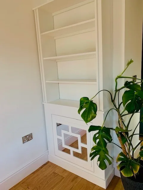 Luxury Bookcase Mirrored Radiator Cover
